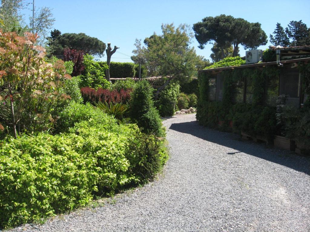 Castel di Decima Country Apartments מראה חיצוני תמונה