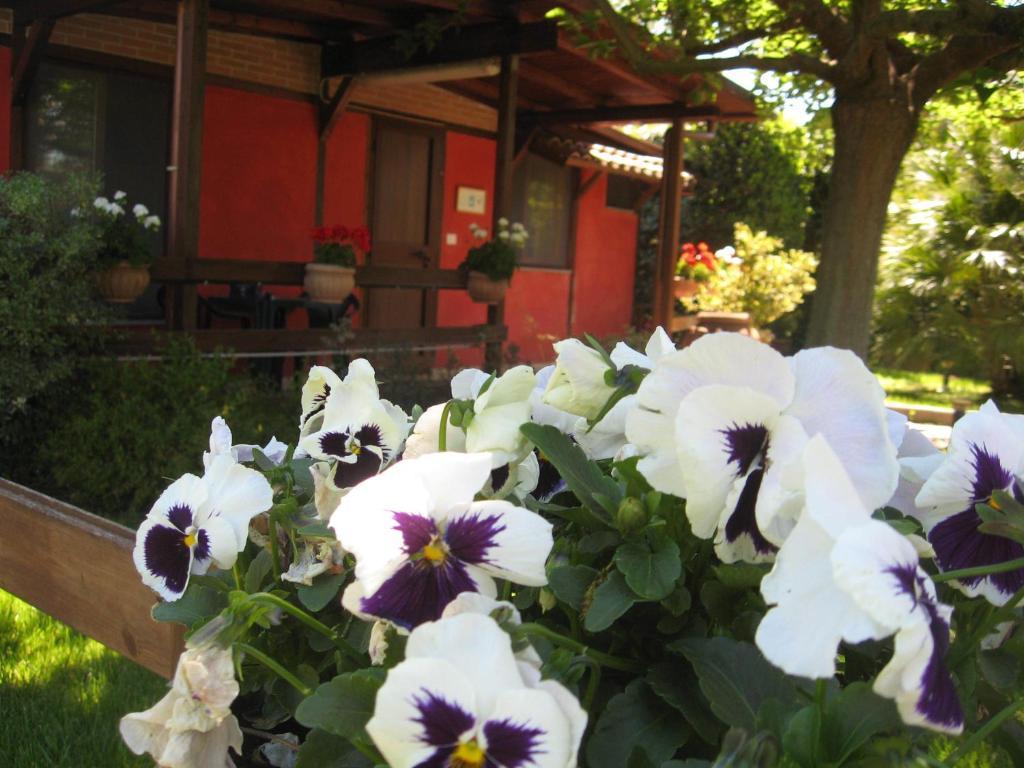 Castel di Decima Country Apartments מראה חיצוני תמונה