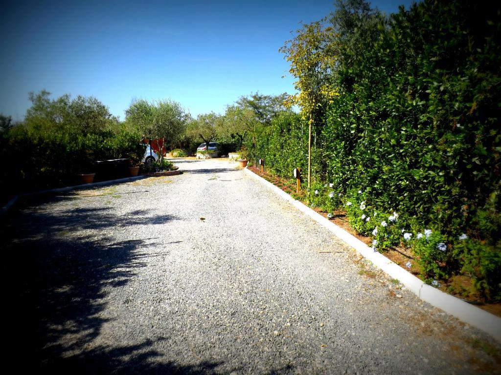 Castel di Decima Country Apartments מראה חיצוני תמונה